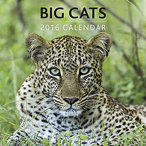 Big Cats 2016 (Calendar)