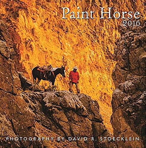Paint Horse 2016 Calendar (Calendar, Wall)
