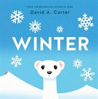 Winter : A Pop-up Book
