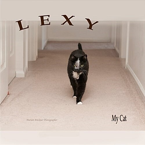 Lexy, My Cat (Paperback)