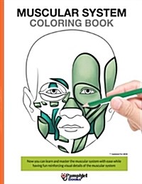Muscular System Coloring Book: Now You Can Learn and Master the Muscular System with Ease While Having Fun (Paperback)