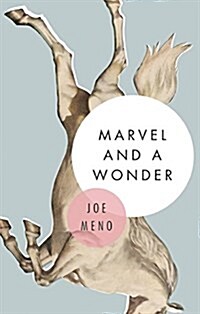 Marvel and a Wonder (Paperback)