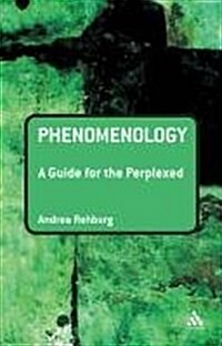 Phenomenology (Paperback)