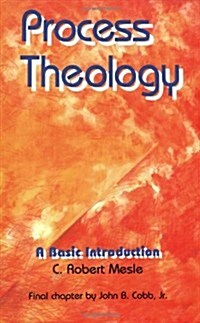 Process Theology: A Basic Introduction (Paperback)