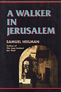 A Walker in Jerusalem (Paperback)