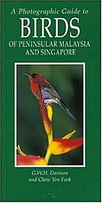 A Photographic Guide to Birds of Peninsular Malaysia and Singapore (Paperback)