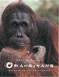 Orangutans: Wizards of the Rain Forest (Hardcover)