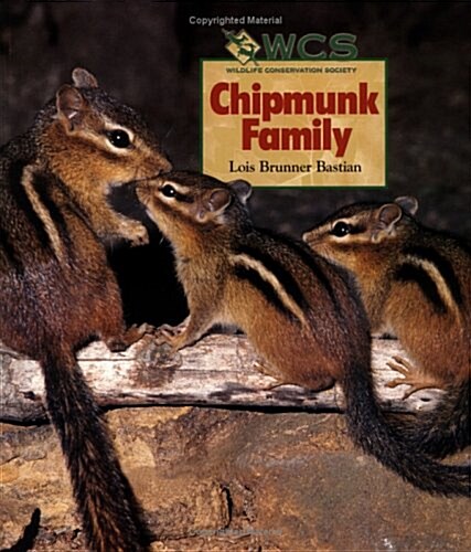 Chipmunk Family (Wildlife Conservation Society Books) (Paperback)