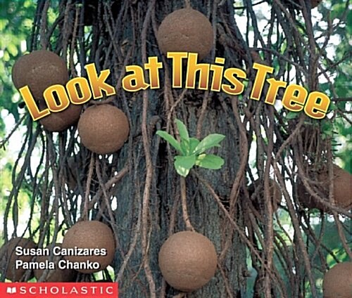 [중고] Look At This Tree (Science Emergent Readers) (Paperback)