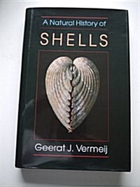 A Natural History of Shells (Hardcover)