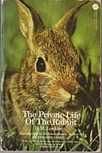 The Private Life of the Rabbit (Mass Market Paperback)