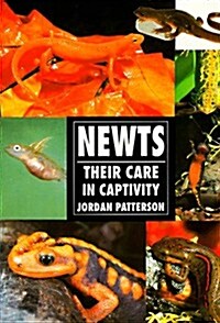 Newts (Paperback)