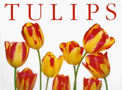 Tulips (Paperback, Reprint)