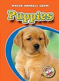 Puppies (Paperback)