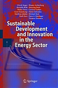 Sustainable Development and Innovation in the Energy Sector (Paperback)