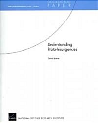 Understanding Proto-Insurgencies: RAND Counterinsurgency Study�Paper 3 (Paperback)