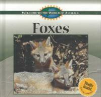 Foxes 표지이미지