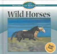 Wild horses 표지이미지