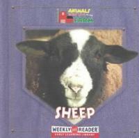 Sheep (Library)