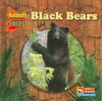 Black Bears (Library)