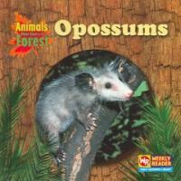 Opossums (Library)