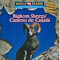 Bighorn Sheep / Carnero De Canada (Paperback, Bilingual)