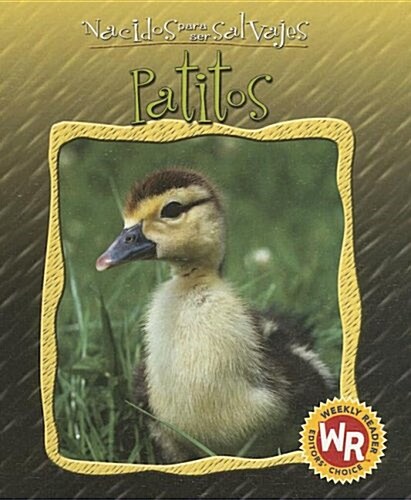 Patitos (Little Ducks) (Library Binding)