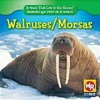 Walruses / Morsas (Library Binding)