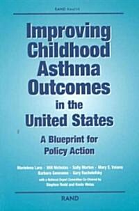 Improving Childhood Astham in the United States: A Blueprint for Policy Action (Paperback)
