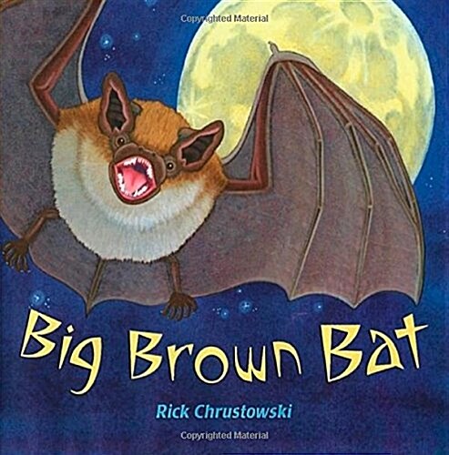 Big Brown Bat (Paperback)