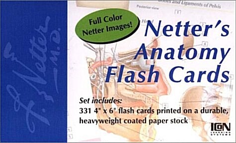 Netters Anatomy Flash Cards (Cards, 1st)