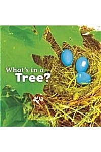 Whats in a Tree? (Hardcover)