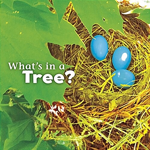 Whats in a Tree? (Paperback)