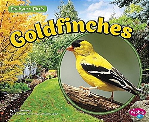 Goldfinches (Paperback)