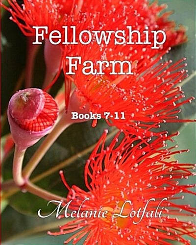 Fellowship Farm: Books 7-11: Australian Edition - B&w (Paperback)