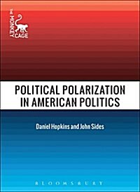 Political Polarization in American Politics (Paperback)