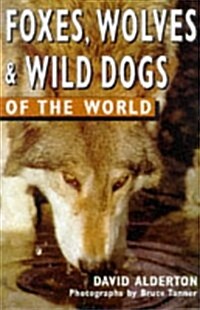 Foxes, Wolves, and Wild Dogs of the World (Of the World Series) (Paperback)