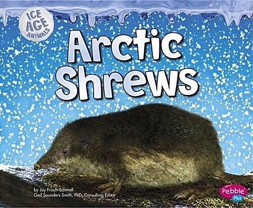 Arctic Shrews (Hardcover)