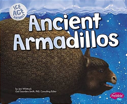 Ancient Armadillos (Hardcover)