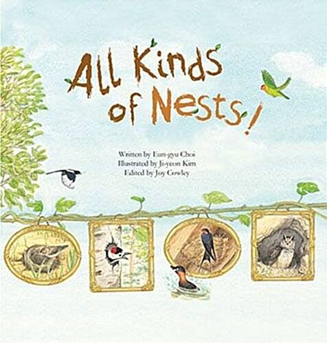 All Kinds of Nests (Paperback)