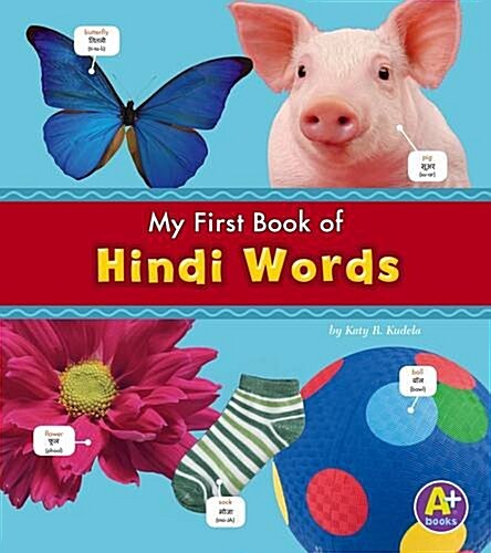 Hindi Words (Hardcover)