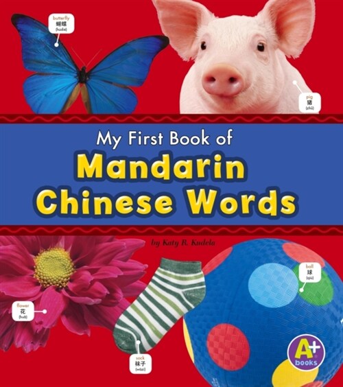 Mandarin Chinese Words (Hardcover)