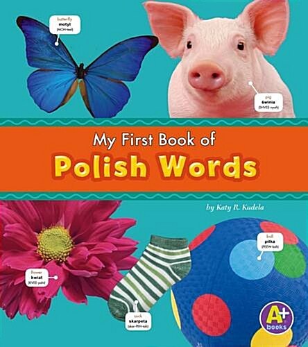 Polish Words (Hardcover)