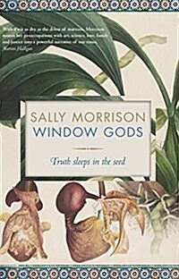 Window Gods (Paperback)