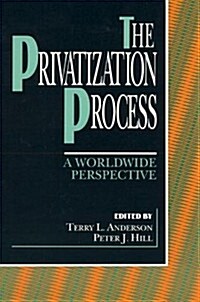 The Privatization Process: A Worldwide Perspective (Paperback)