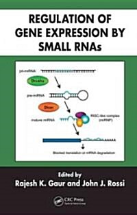 Regulation of Gene Expression by Small RNAs (Hardcover)