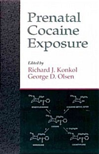Prenatal Cocaine Exposure (Hardcover)