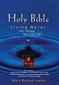 Holy Bible (Paperback, BOX)