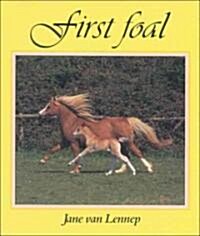 First Foal (Hardcover)