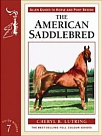 The American Saddlebred (Paperback)